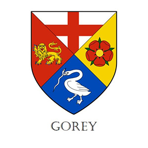 Gorey Town